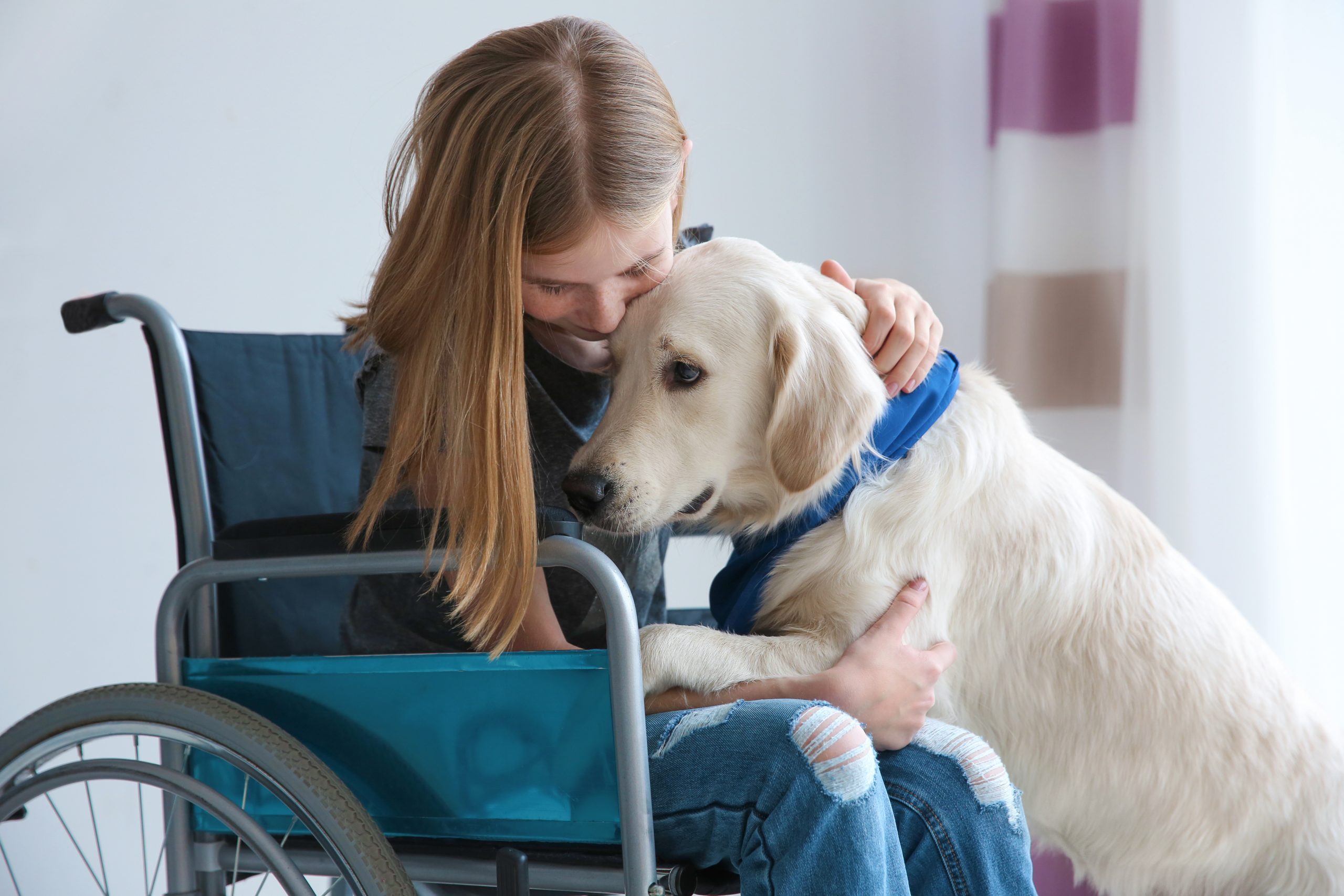 HypernovaCBD Case Study – Helping a Dog Grieve