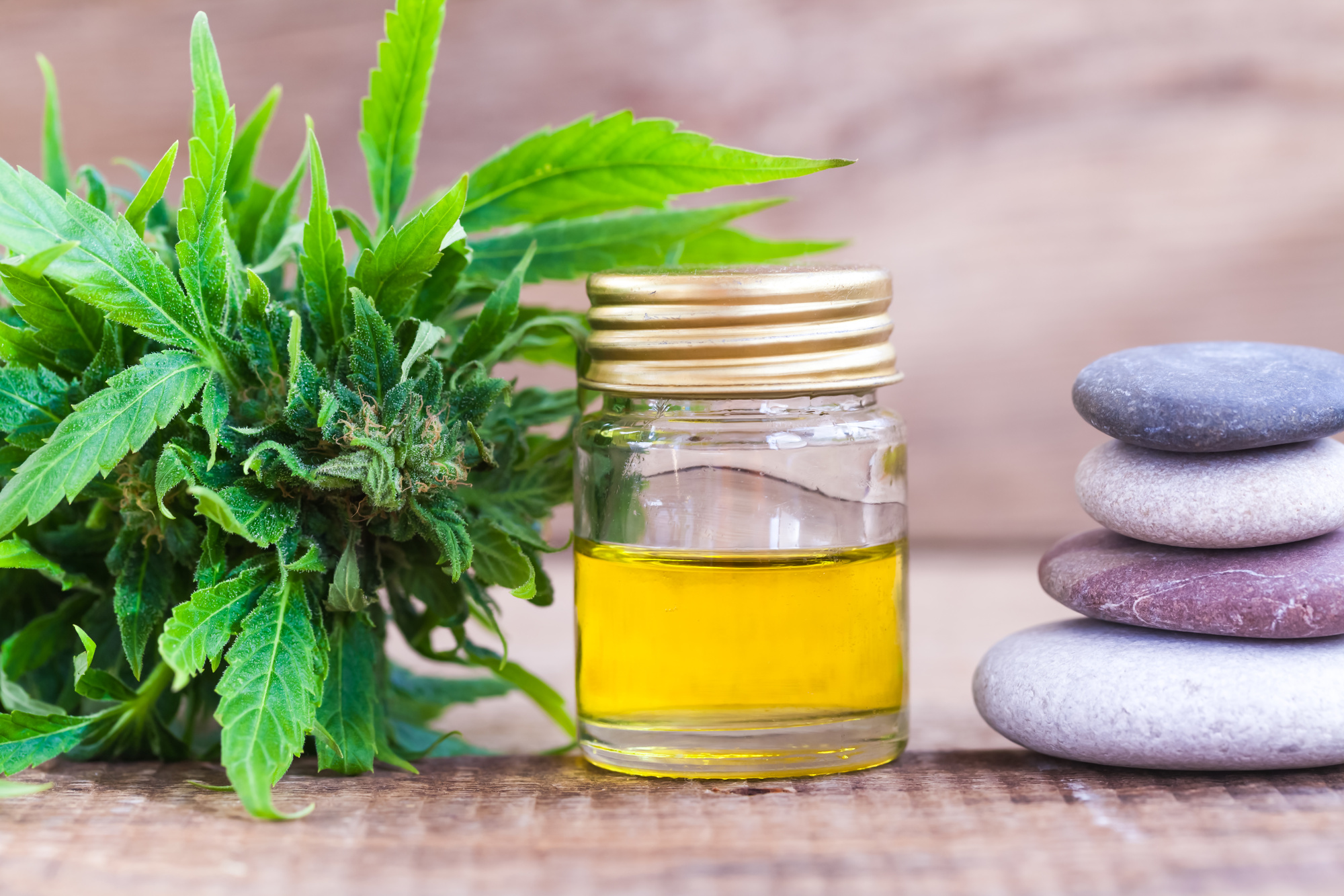 The Five Best CBD Oils for Migraines and Seizures