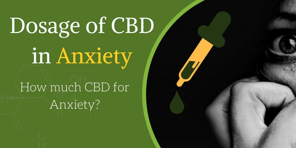 What’s the Correct Dosage of CBD for Anxiety?