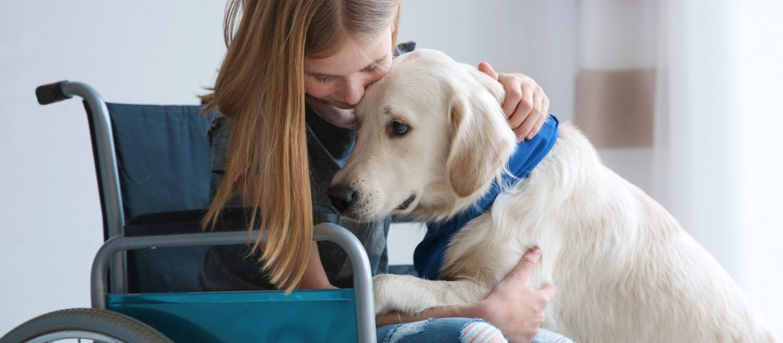 HypernovaCBD Case Study – Helping a Dog Grieve