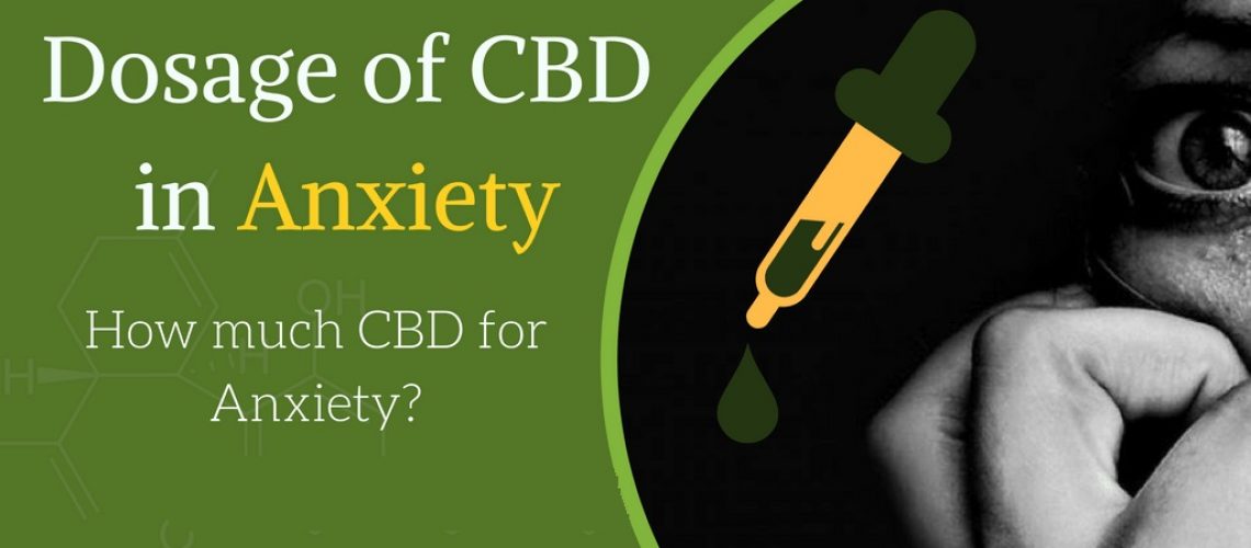 What’s the Correct Dosage of CBD for Anxiety?